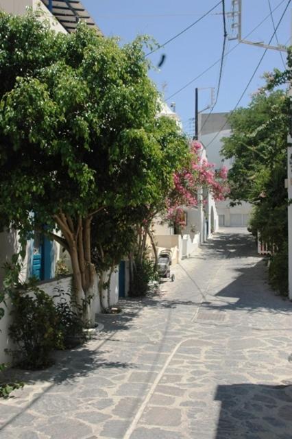 Hotel Anixis Resort Naxos City 외부 사진